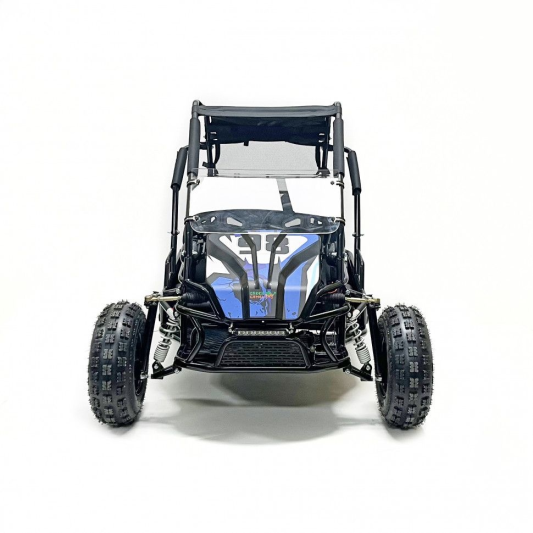 Багги GreenCamel Намиб T10 (60V 2000W R8 Дифф)