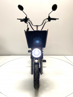 Электровелосипед GreenCamel Транк Монстр PRO (R16FAT 800W 48V15Ah)