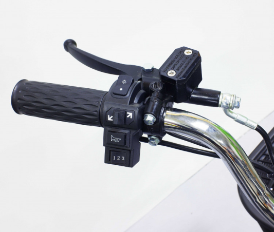 Электровелосипед GreenCamel Транк-18-60 (R18 350W 60V)