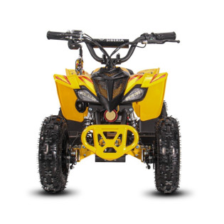 Электроквадроцикл White Siberia Sneg Leto R, желтый