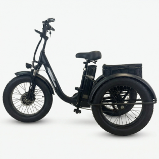 Электровелосипед трехколесный GT ZV-02 48V/20Ah