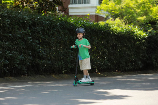 Электросамокат Ninebot Zing A6