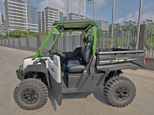 Багги CHEETAH Electric UTV
