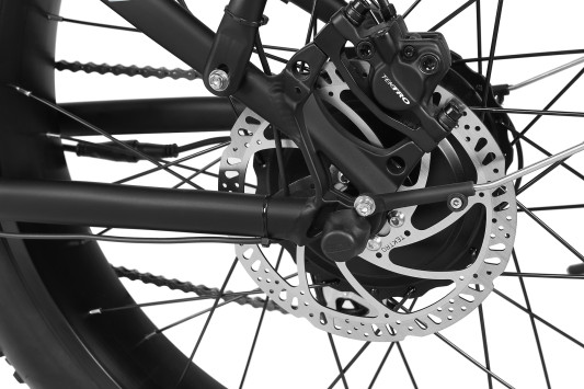 Электрофэтбайк Everest Trial 750w